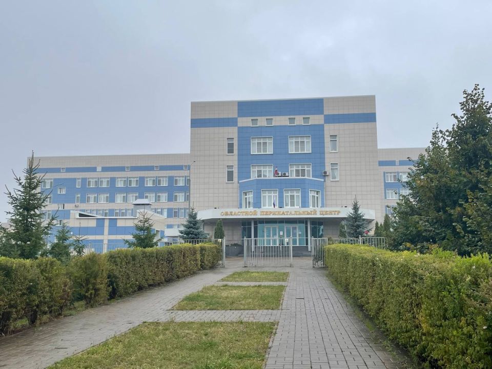 135 детей родились в Курской области с помощью процедуры ЭКО в этом году