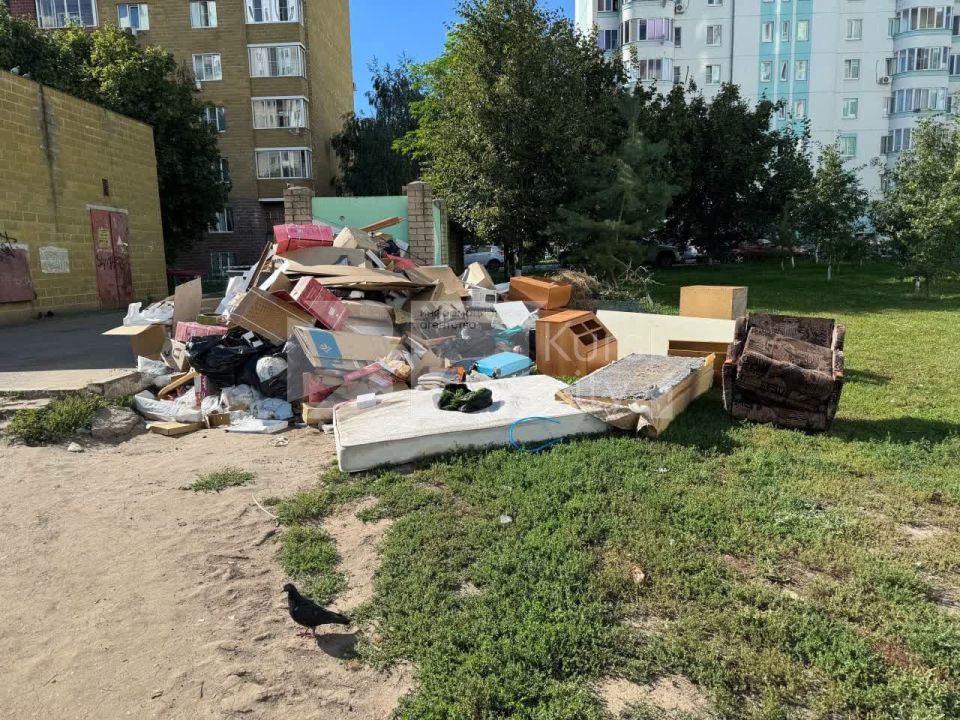 В Курске жители дома №12 по проспекту Клыкова жалуются на стихийную свалку на газоне рядом с контейнерной площадкой