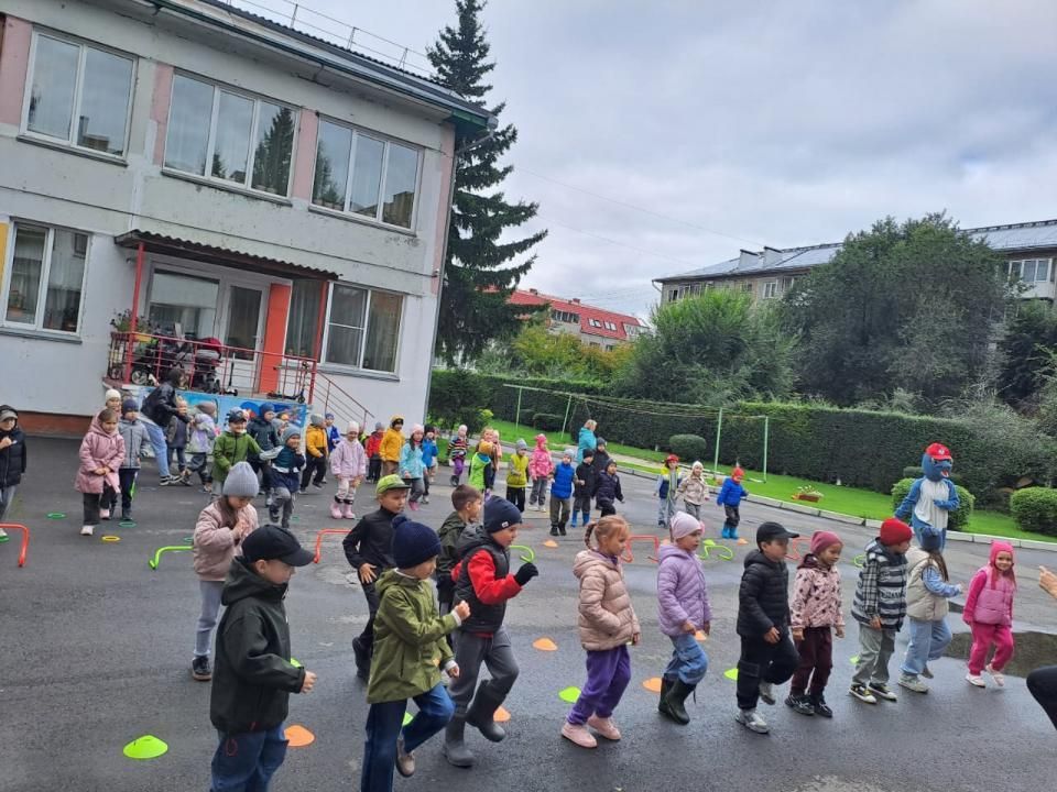 Новая секция в «Дельфине»: новые возможности