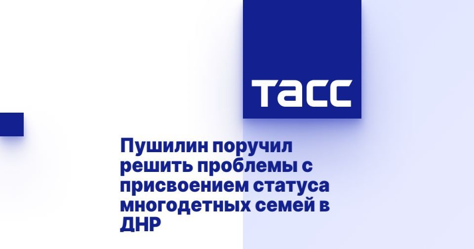 Пушилин поручил решить проблемы с присвоением статуса многодетных семей в ДНР