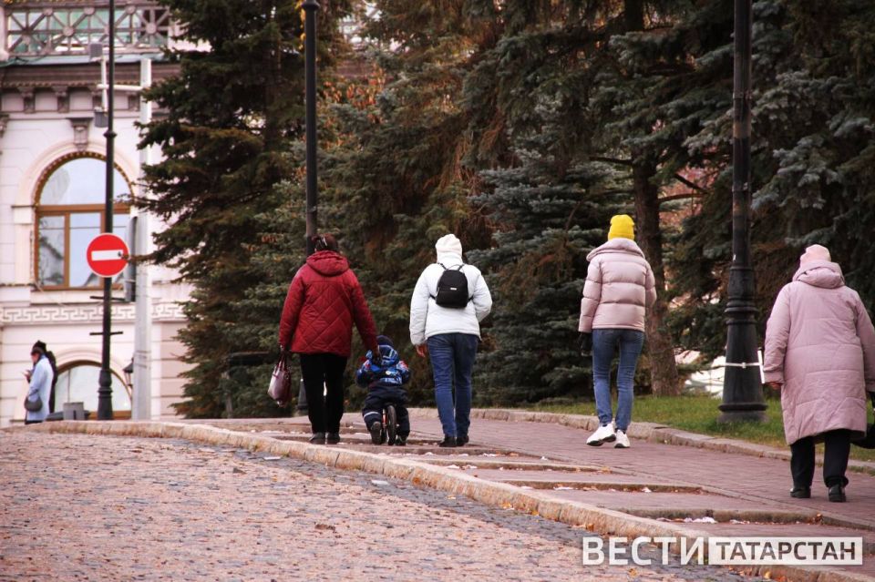 Многодетные семьи Татарстана могут получить до 450 тыс