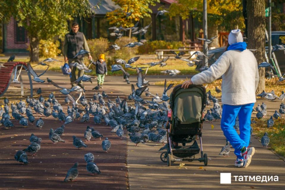 Многодетные семьи в Казани и Набережных Челнах смогут получить деньги взамен земельных участков