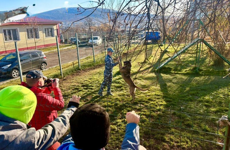 Подшефные сотрудников СУ СК России по Магаданской области – воспитанники детского дома «Надежда» - познакомились с пушистыми помощниками полицейских.
