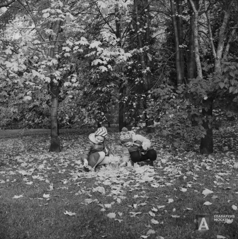 Фотофакт: «Золотая осень»; воспитанники детского сада на прогулке