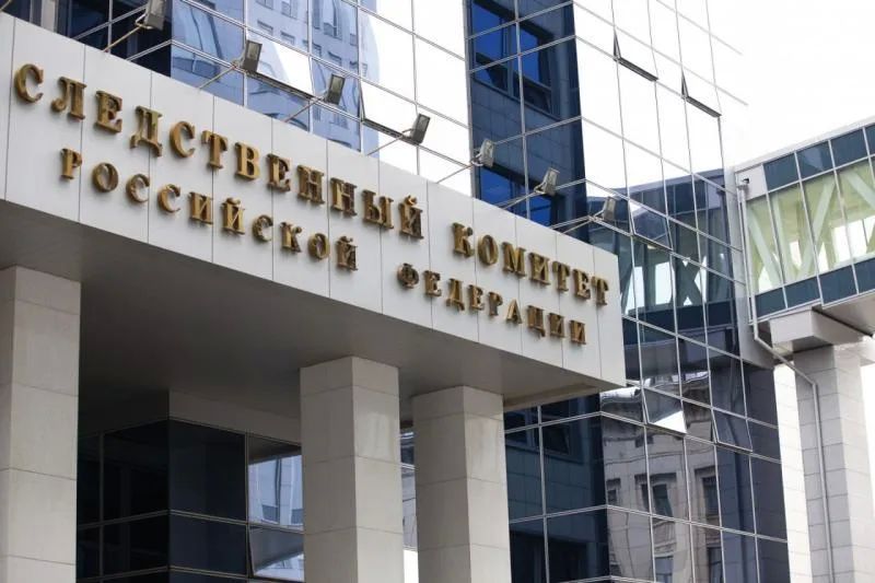Бастрыкин взял на контроль дело об избиении детей в многодетной семье Чапаевска