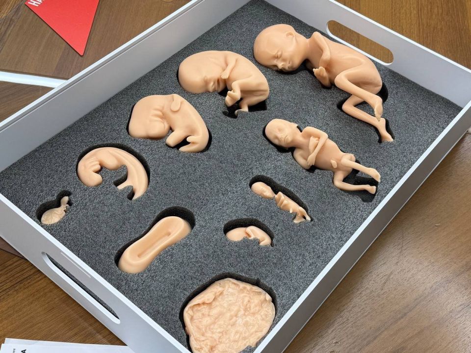 Пособия для женских консультаций передали алтайским медикам в День беременных
