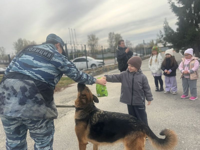 В Пласте воспитанников детского сада познакомили с работой полицейских