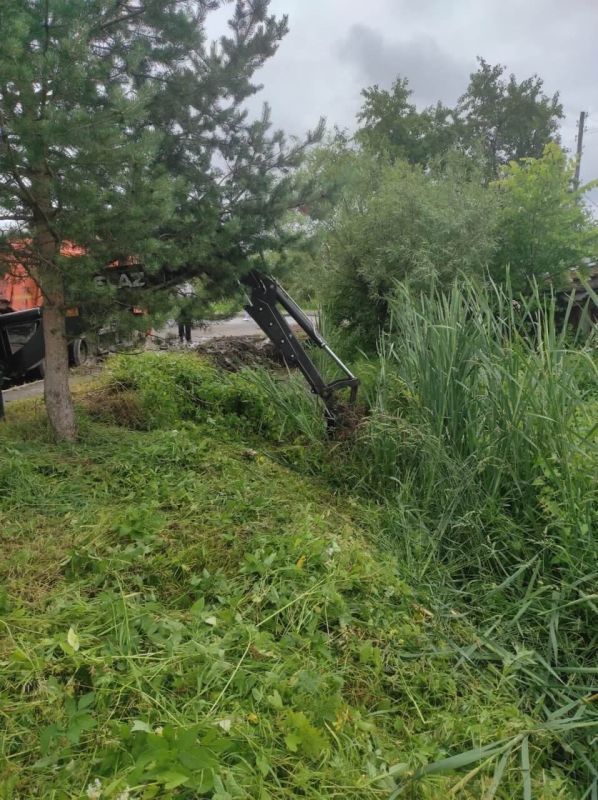 В Вологде решают проблему подтопления участка многодетной семьи на улице Колхозной