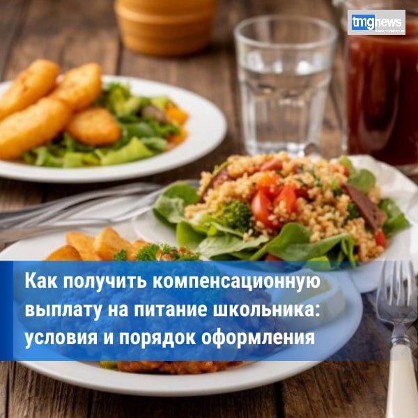 В Туве действует компенсационная выплата на питание школьникам