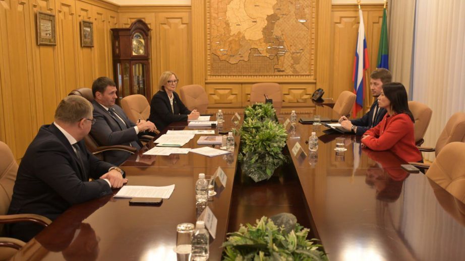 Губернатор Хабаровского края обсудил меры поддержки семей и рост рождаемости