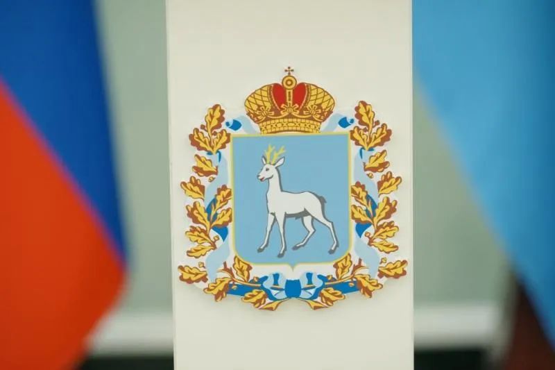 Губернатор Самарской области рассказал председателю СФ о проведении в регионе Десятилетия многодетной семьи