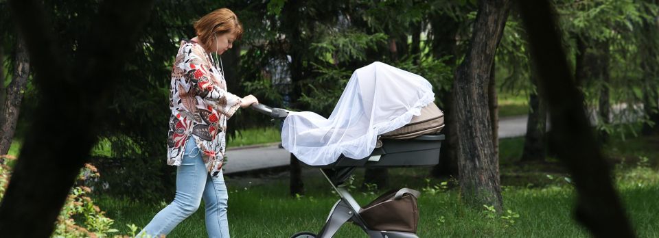 Полмиллиарда перечислили родителям младенцев в Новосибирской области