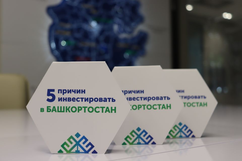 Инвестору выделили земельный участок в аренду без торгов для строительства гостевого комплекса в Башкортостане