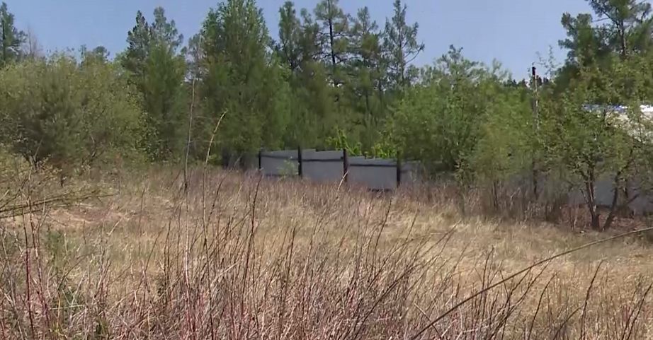 Многодетные семьи в Забайкалье получат выплаты вместо участков