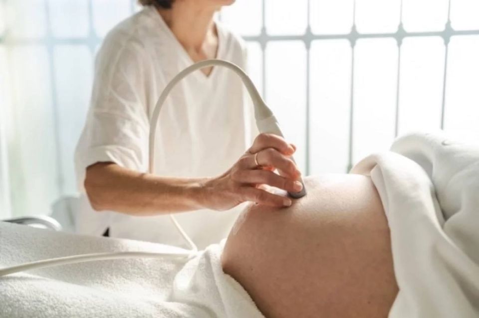 Камчатские роженицы теперь могут выбрать врача для индивидуального сопровождения беременности