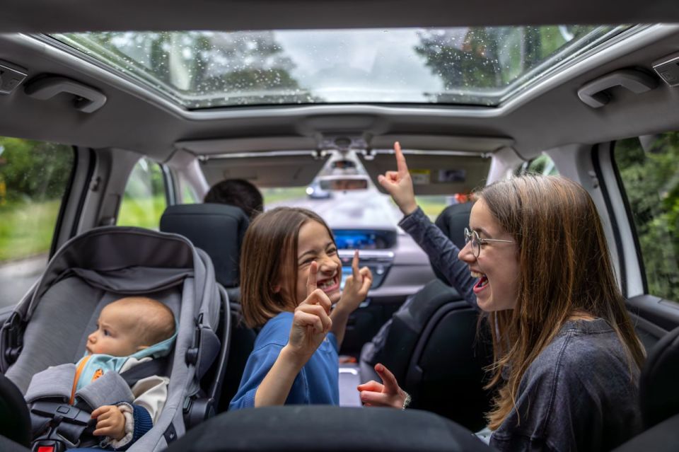 Бесплатное пользование платными парковками для всех автомобилей многодетной семьи