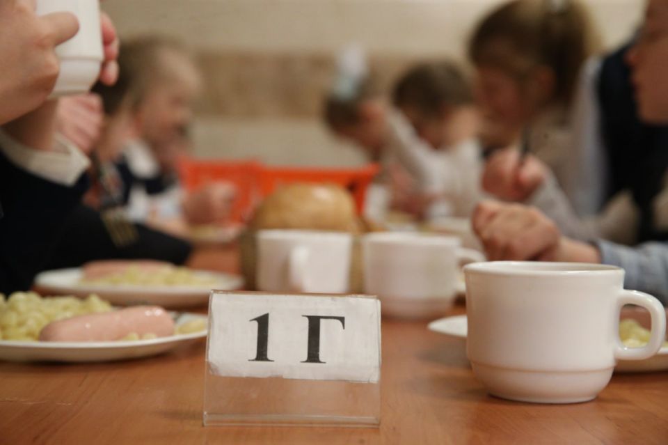 ФАС приостановила многомиллионные контракты на поставку обедов в колпинские школы