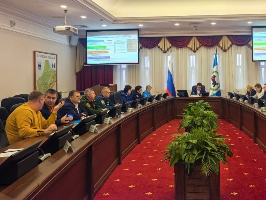 538 родителей оштрафовали за ненадлежащее воспитание детей в Иркутской области