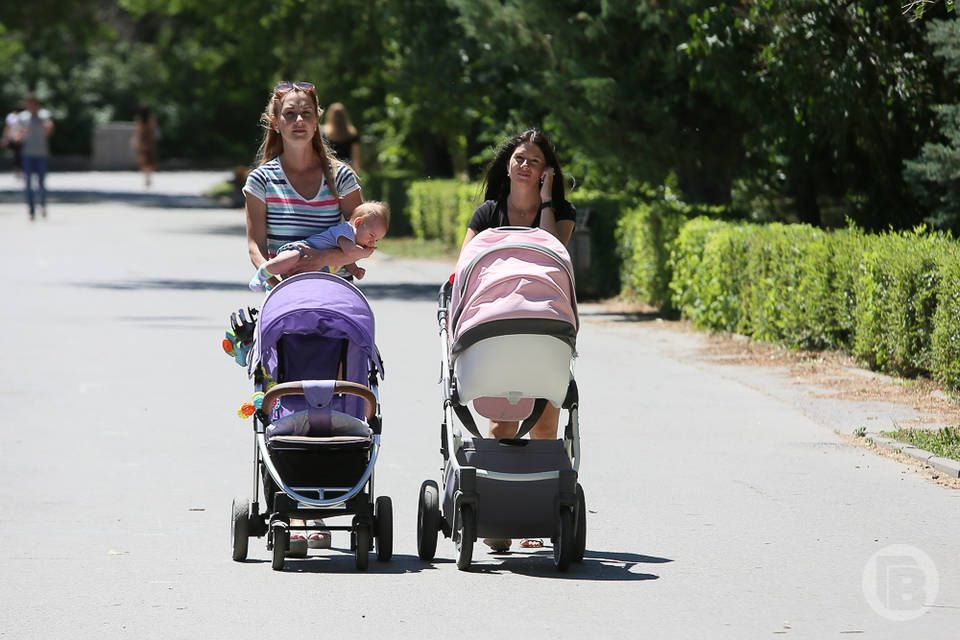 Волгоградцам рассказали, как выплачивается единовременное пособие на ребенка