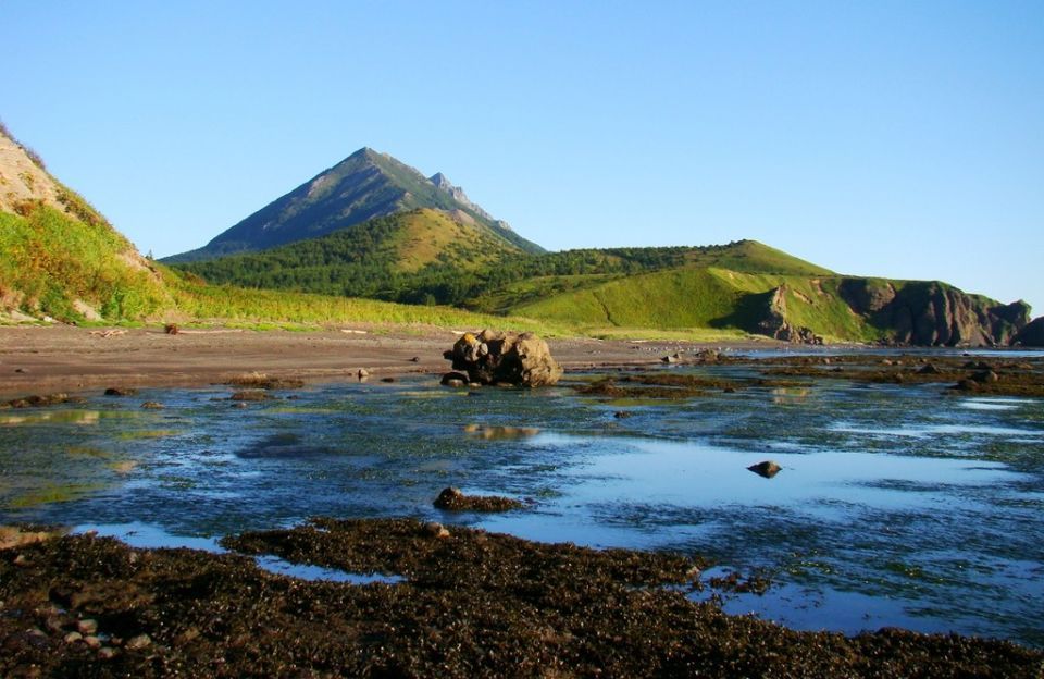 Большую детскую благотворительную ярмарку в День народного единства провели и в Корсакове