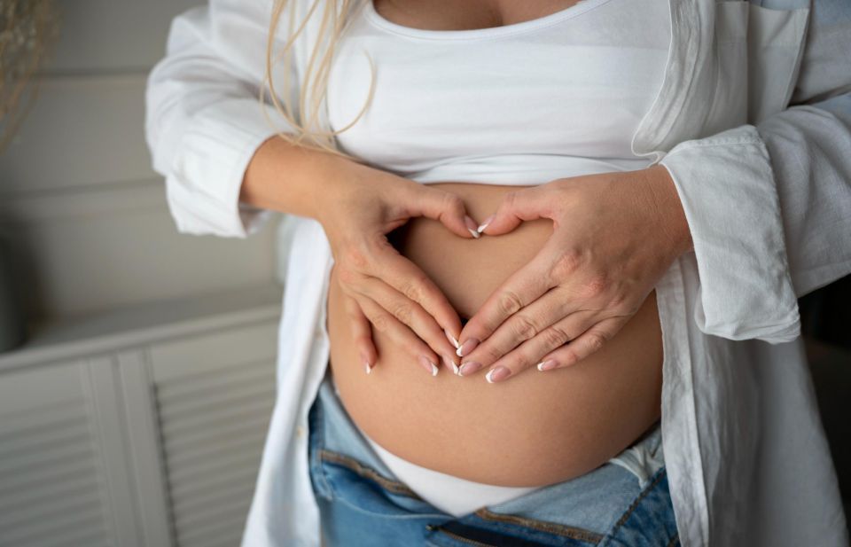 Более 1200 беременных жительниц Архангельской области и НАО получили единое пособие