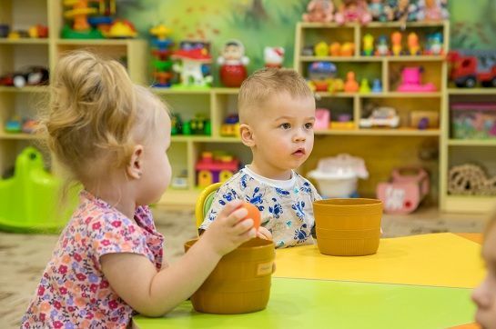 В Приамурье установили максимальный размер родительской платы за детсады на 2026 год