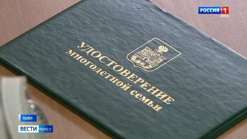 Сотни орловских многодетных семей наградят памятными медалями