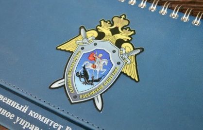 В Кирове возбуждено уголовное дело о мошенничестве со средствами материнского капитала