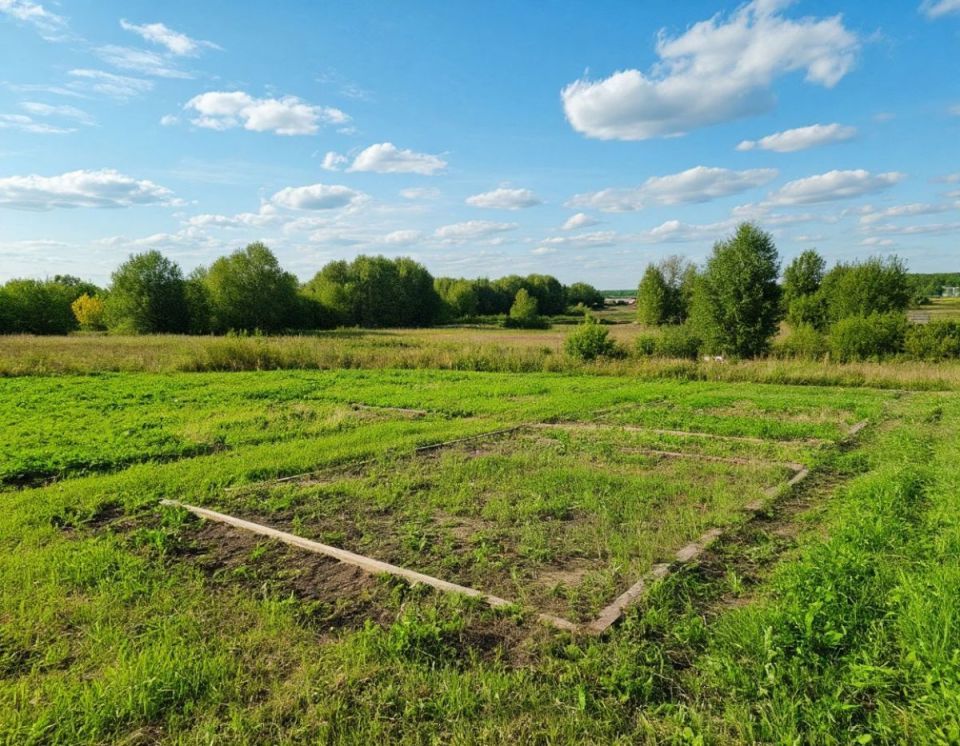 Участники СВО и многодетные курские семьи смогут выбрать место для участка