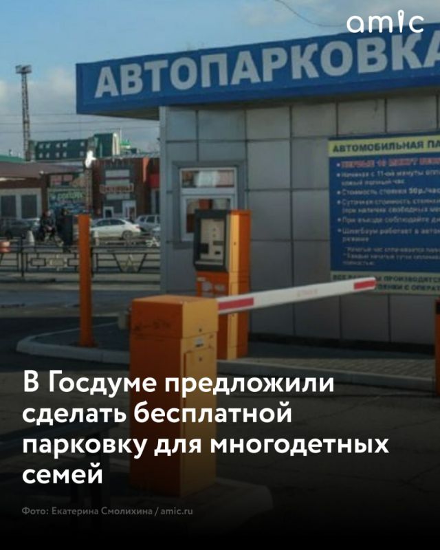 В России предложили освободить многодетные семьи от платы за парковку