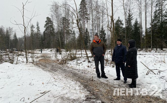 Во Всеволожском районе готовят новые участки для многодетных семей