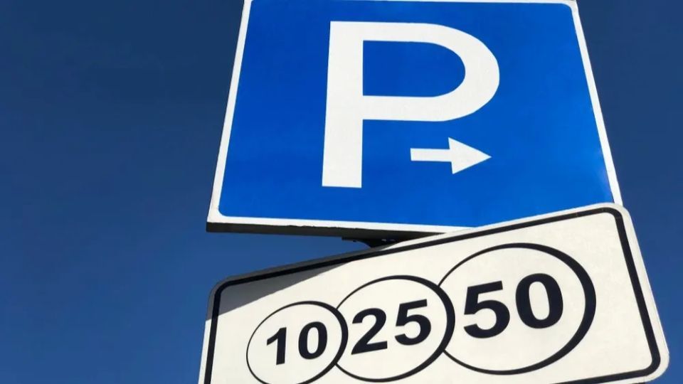 ЛДПР предложила освободить многодетные семьи от платы за парковку. В ЯНАО количество многодетных семей утроилось