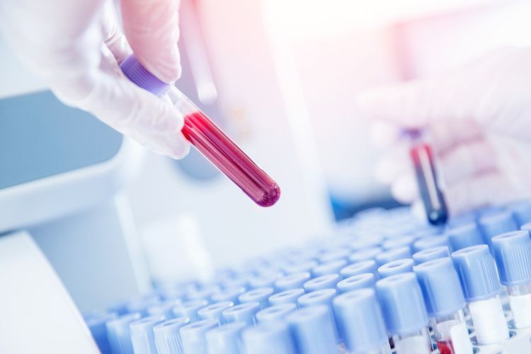 Вологжане могут сдать анализы перед процедурой ЭКО бесплатно