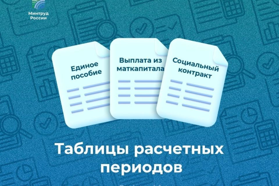 За какой период учитывают доходы при назначении мер поддержки?