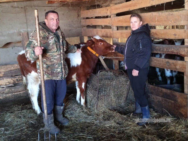 Многодетная семья из Тамбовской области развивает личное подсобное хозяйство на средства соцконтракта