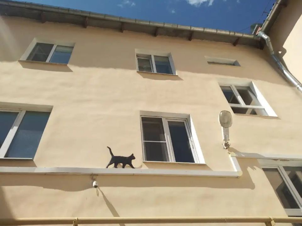 Новгородские многодетные семьи смогут дополнительно получить 550 тысяч рублей на погашение ипотеки