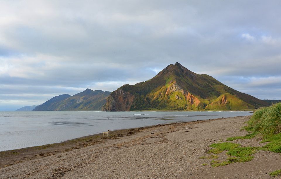 Сахалинская область эффективно решает проблемы демографии благодаря «Счастливому материнству»