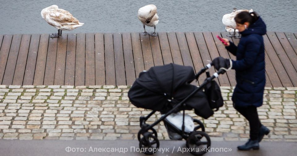 Беременна в 18: Матвиенко призвала россиянок рожать после достижения совершеннолетия