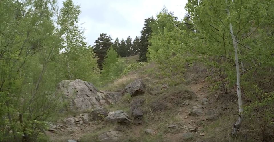 В Сухотино планируют открыть туристическую эко-тропу в июне 2026 года