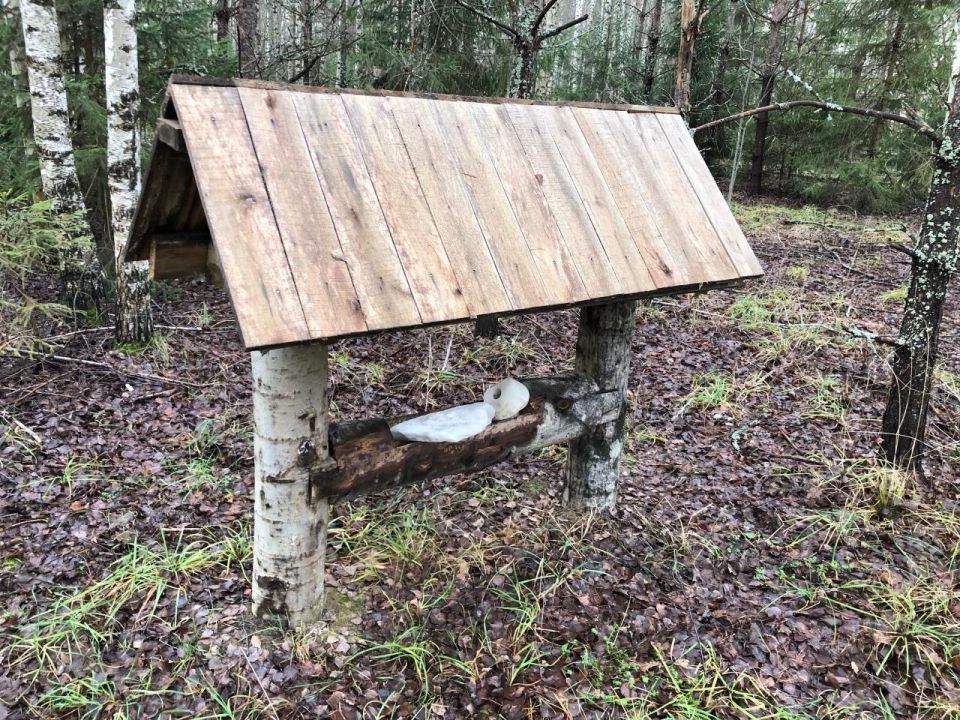 Специалисты заповедника «Большая Кокшага» рассказали, как проходит подготовка к зимнему сезону