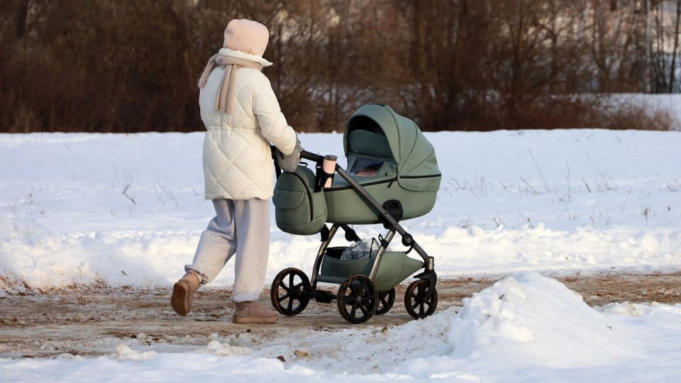 Продлить оплачиваемый декретный отпуск и увеличить пособие по уходу за ребенком предложили в Госдуме