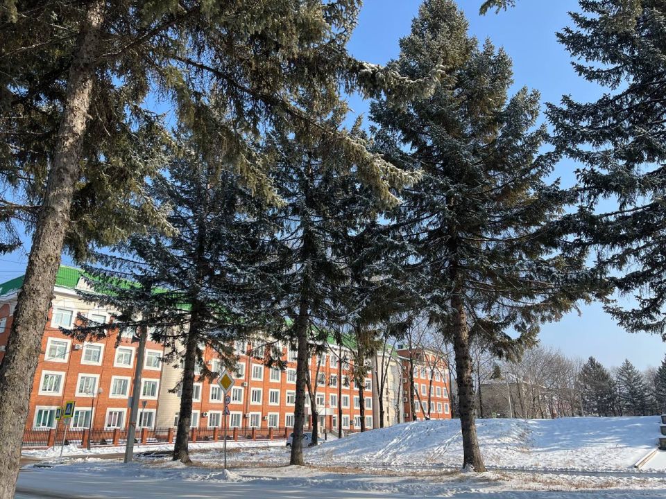 Прием пациентов в ЕАО проведут ведущие онкологи из Москвы и Донецка