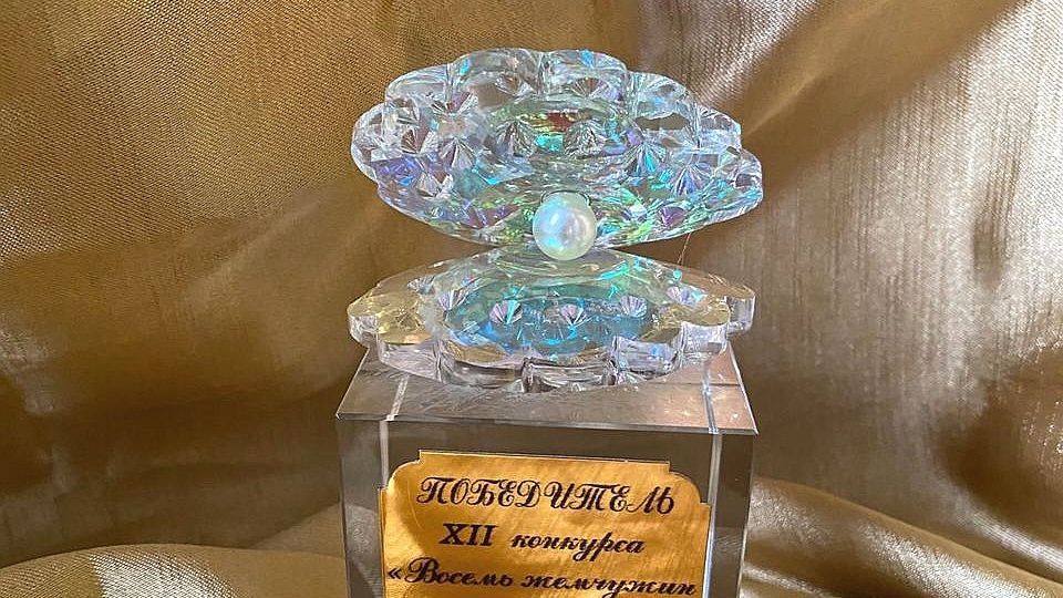 Рыбновским педагогам дошкольного образования вручили жемчужины