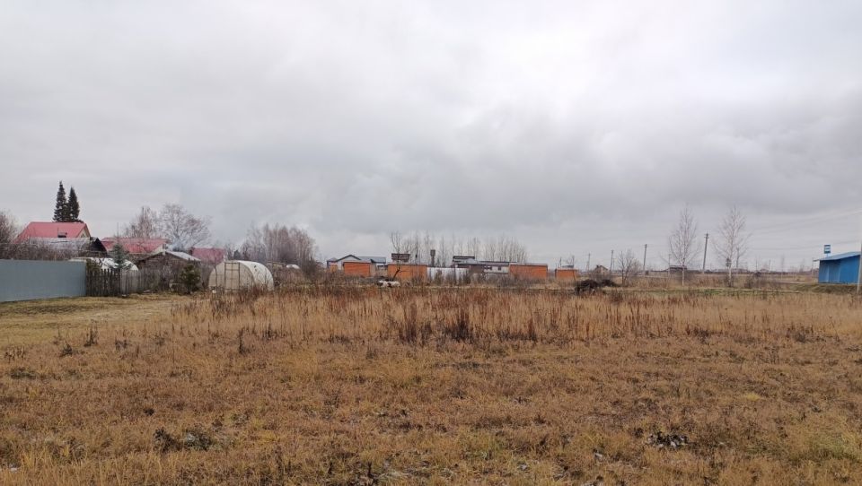 Жители Шоя-Кузнецово пожаловались главе Марий Эл на отсутствие инфраструктуры