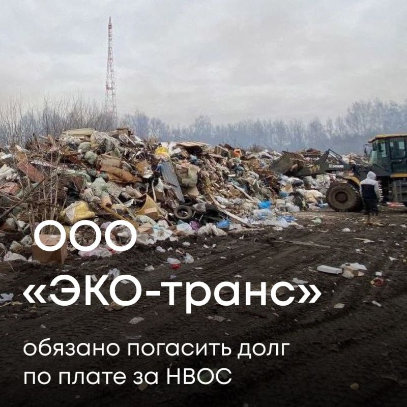 Суд обязал ООО «ЭКО-транс», регионального оператора по обращению с ТКО во Владимирской области, выплатить задолженность по плате за негативное воздействие на окружающую среду