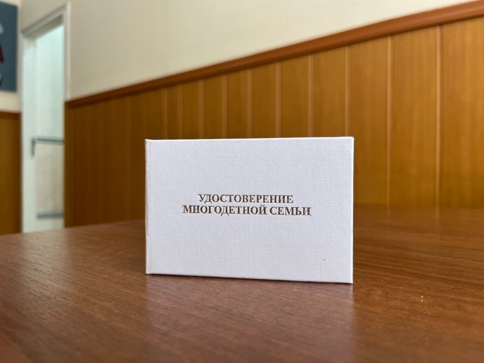В Саратовской области упростили оформление удостоверений для многодетных семей