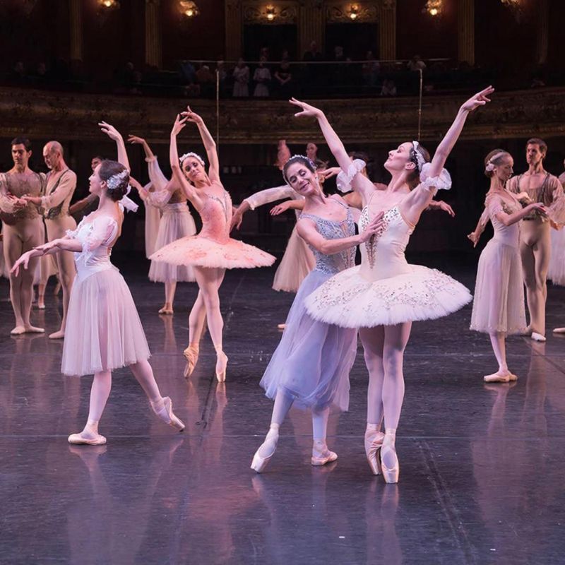 В Госдуме предложили давать бесплатные билеты на «Щелкунчик» семьям участников СВО