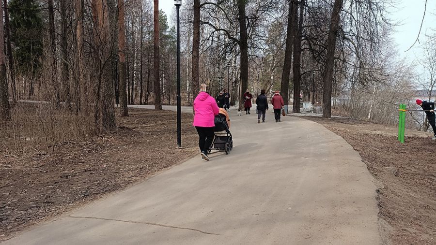 Молодые многодетные семьи Ярославской области с 1 января смогут получить по 300 тыс рублей