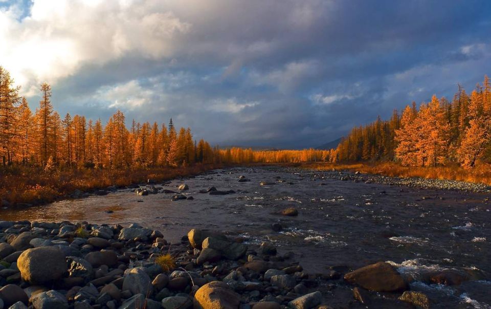 Социальный фонд России: Как направить маткапитал на дополнительное образование ребенка?