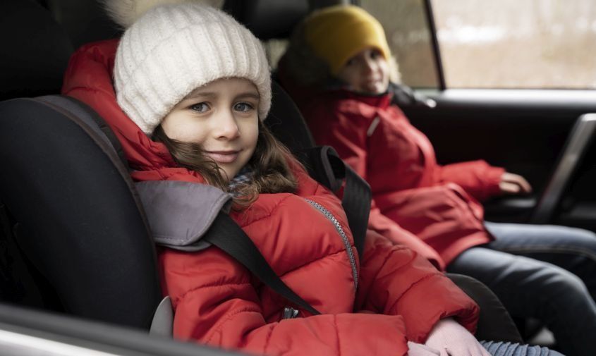 Многодетные семьи могут защитить от взыскания участка и единственной машины за долги